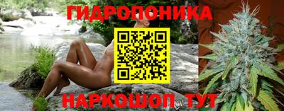 индика Комсомольск-на-Амуре